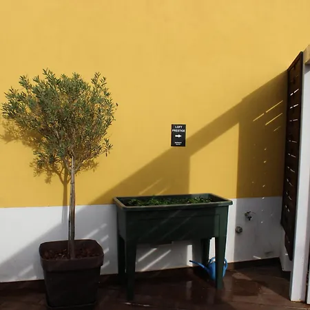 Loft Prestige - Centro Aparthotel 3*